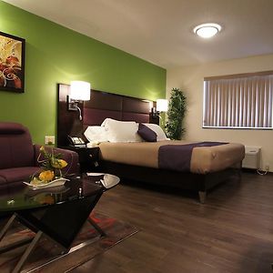 King Room Disability Access